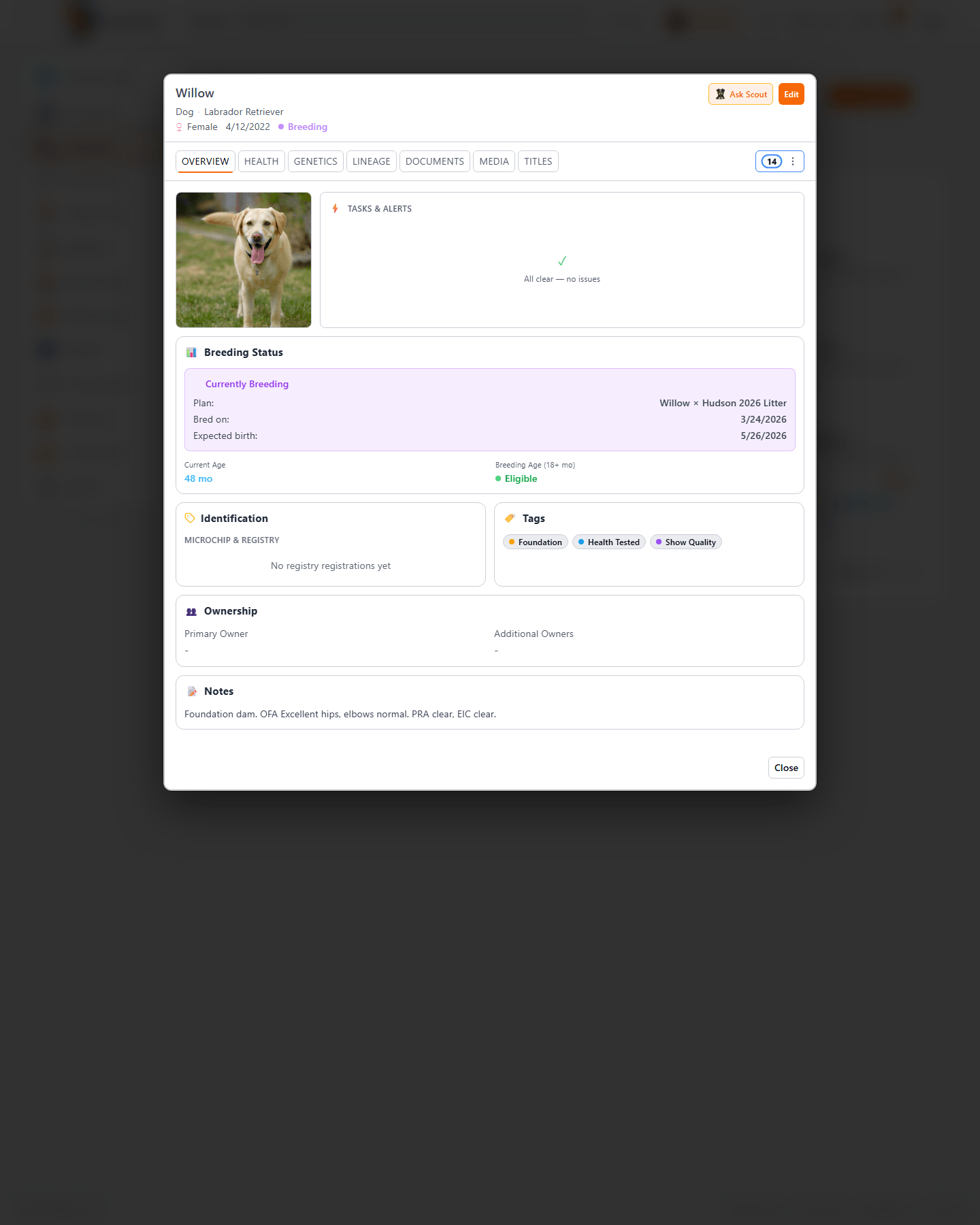 Animal detail view in BreederHQ showing a Labrador Retriever's overview with breed, DOB, microchip, and breeding status