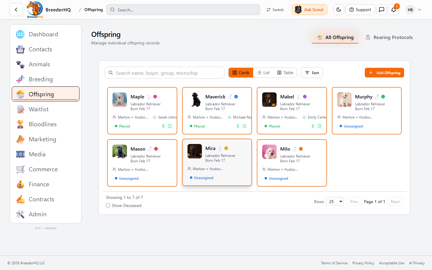 Offspring group view showing each newborn with identifier, sex, placement state, and assigned buyer